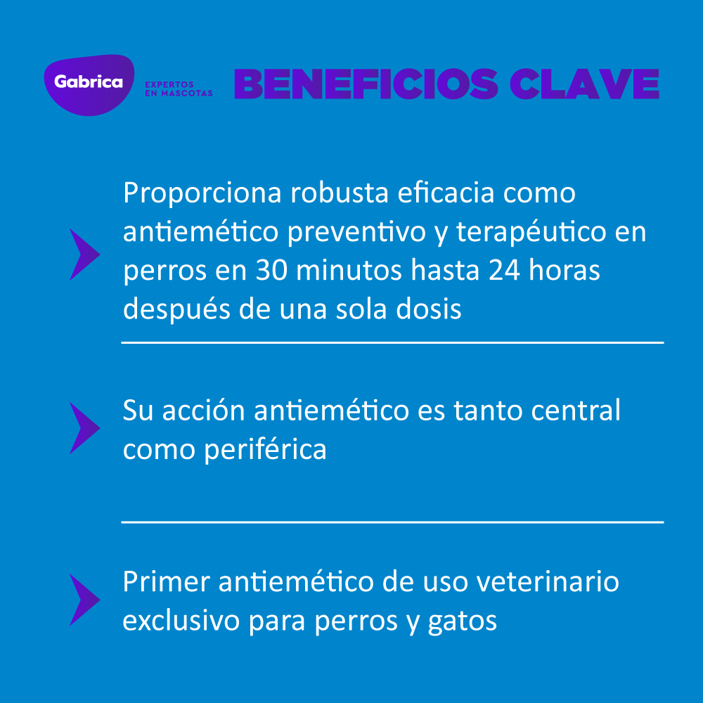 Gabriconecta 556 40
