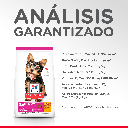 Gabriconecta 203 30
