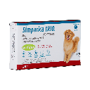 Gabriconecta 138 200