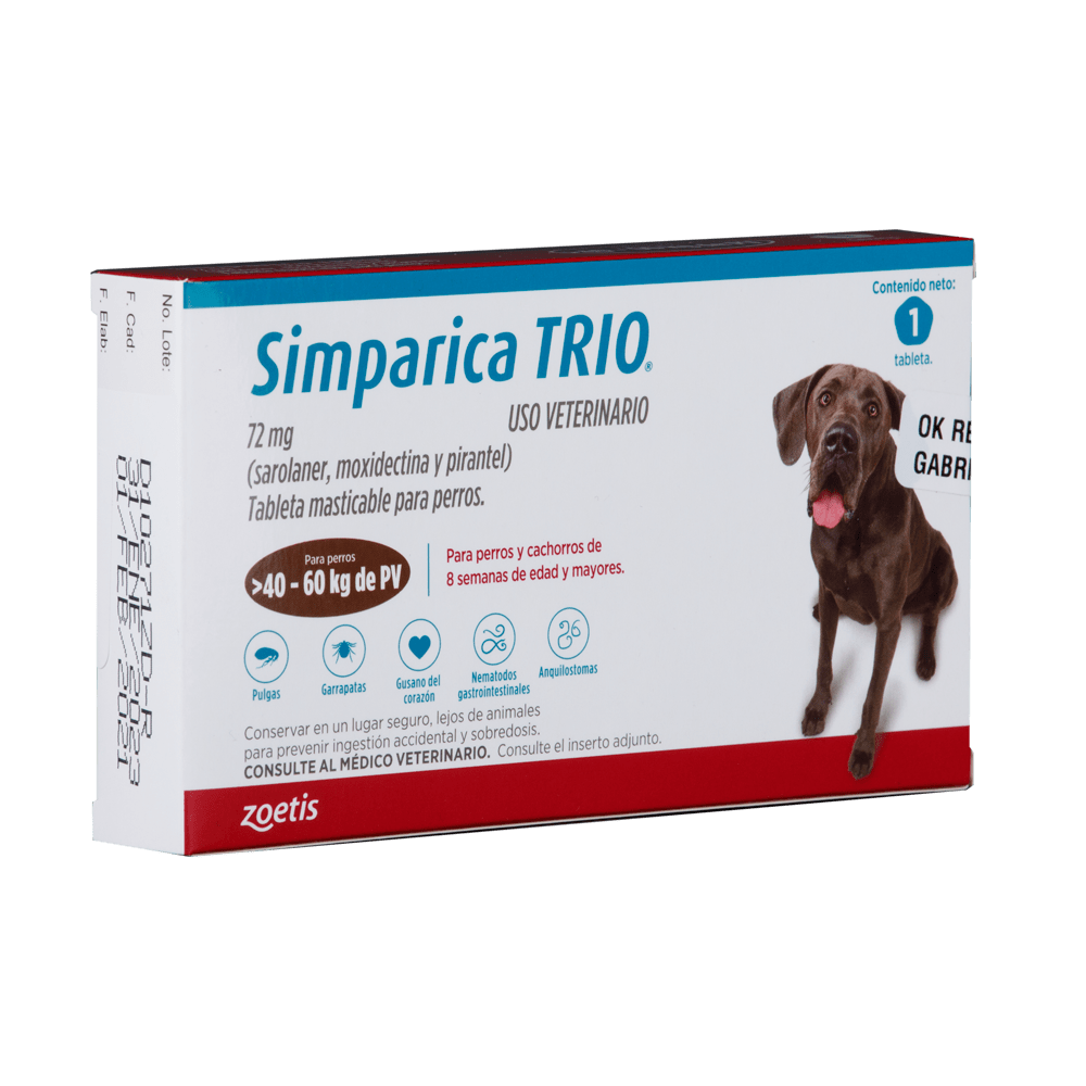 Gabriconecta 138 240