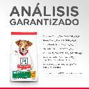 Gabriconecta 198 20