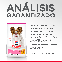 Gabriconecta 209 20
