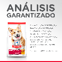 Gabriconecta 210 30