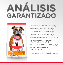 Gabriconecta 226 20