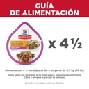 Gabriconecta 237 20