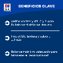 Gabriconecta 248 20