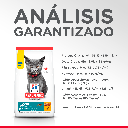 Gabriconecta 261 20