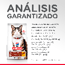 Gabriconecta 267 20
