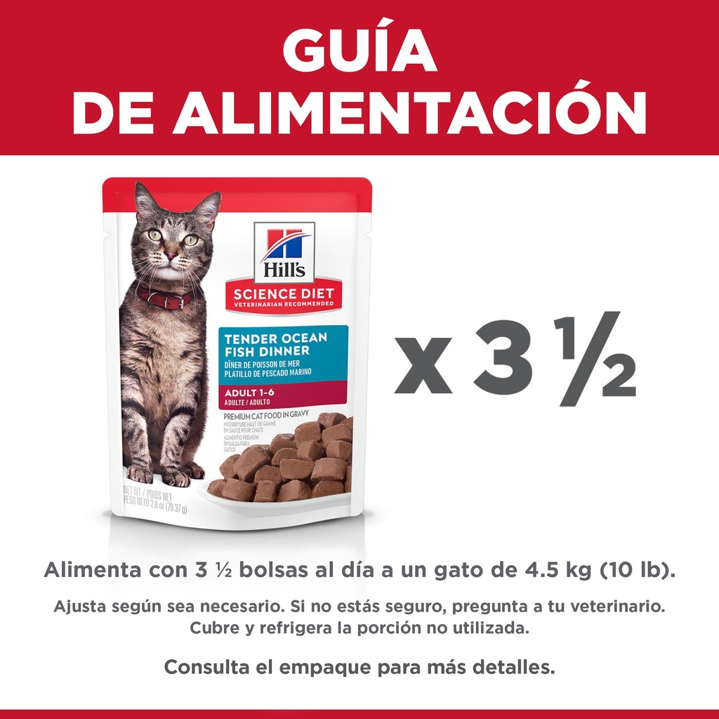Gabriconecta 272 20