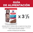Gabriconecta 272 20