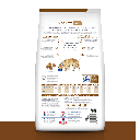 Gabriconecta 289 20