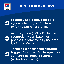 Gabriconecta 291 50