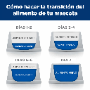 Gabriconecta 296 20