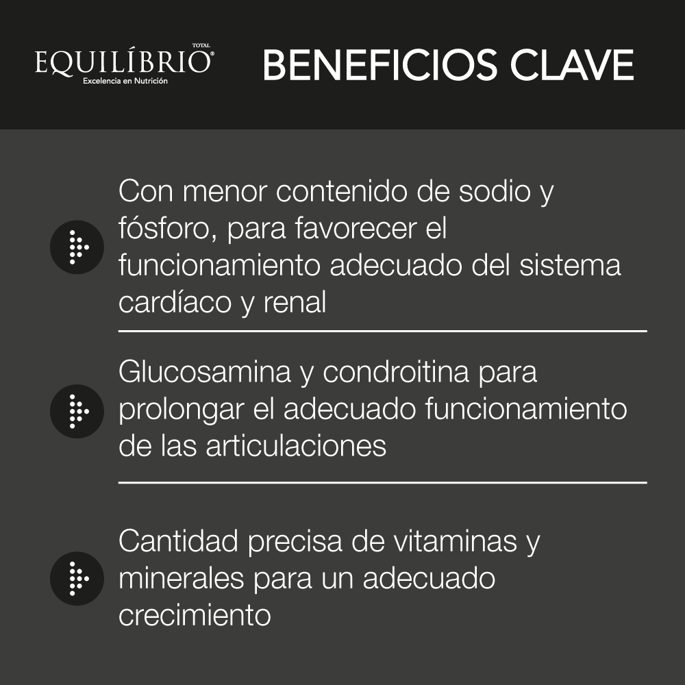 Gabriconecta 333 30