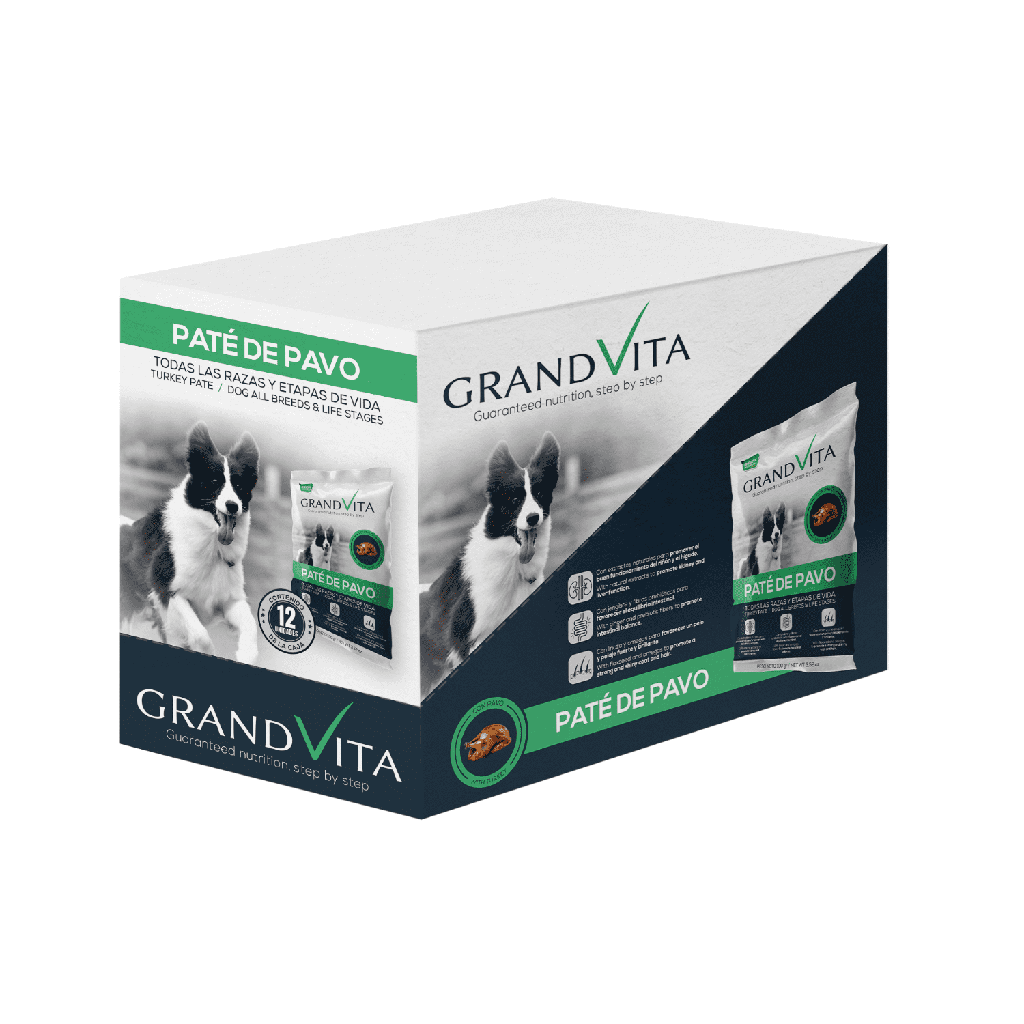 Gabriconecta 377 10