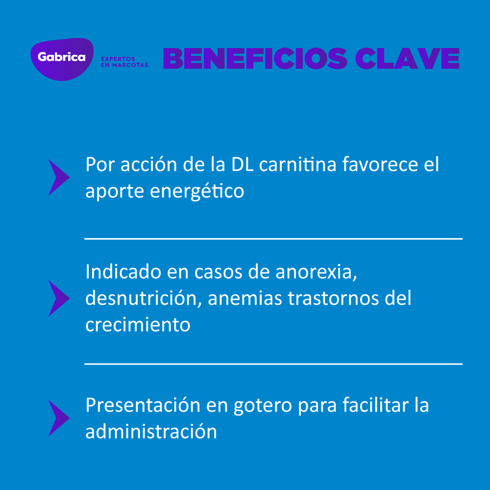Gabriconecta 497 30