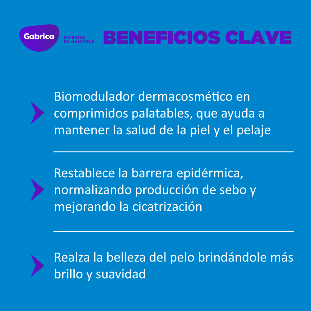 Gabriconecta 533 40
