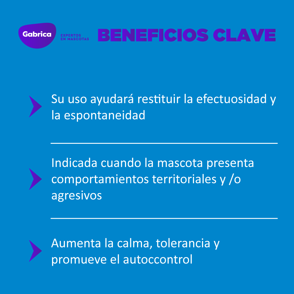Gabriconecta 543 30
