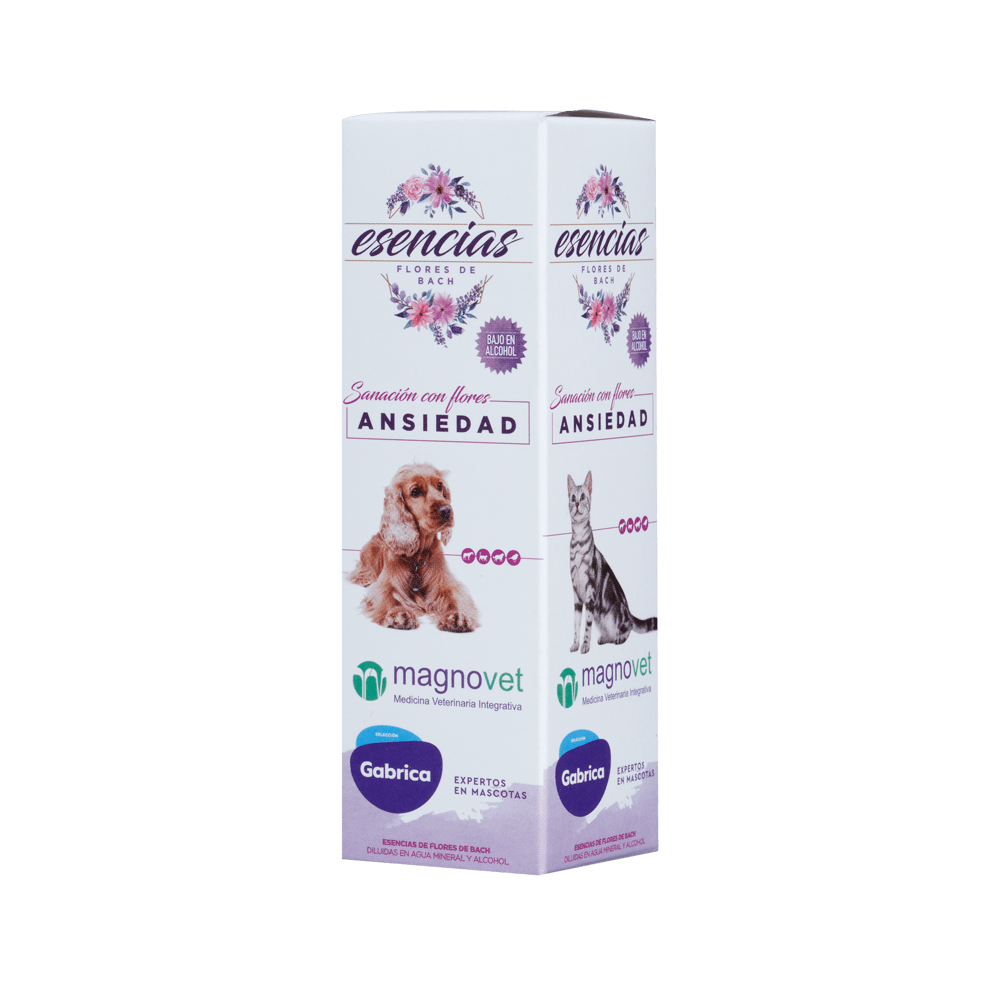 Gabriconecta 544 20