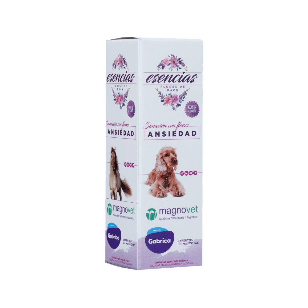 Gabriconecta 544 30