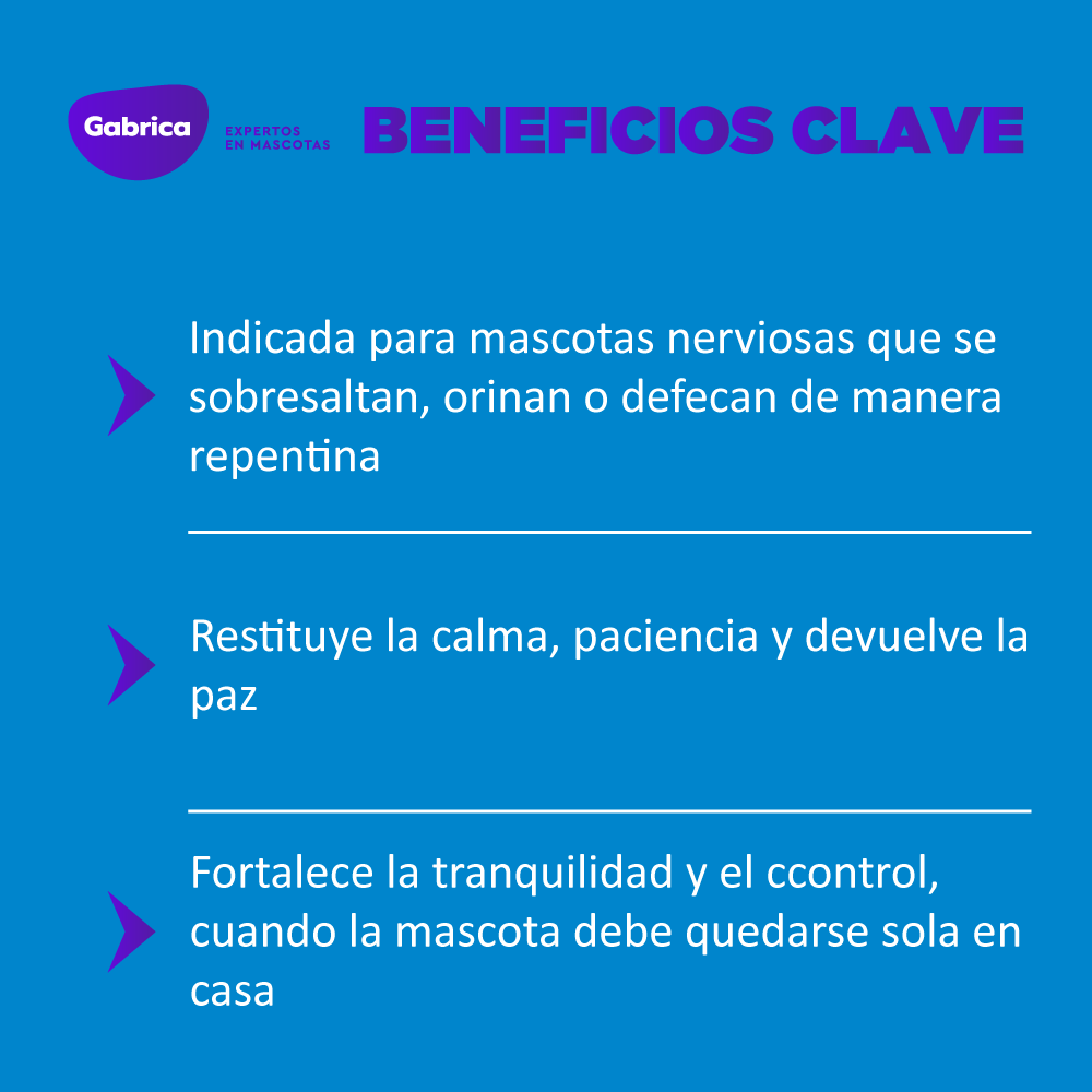 Gabriconecta 544 40