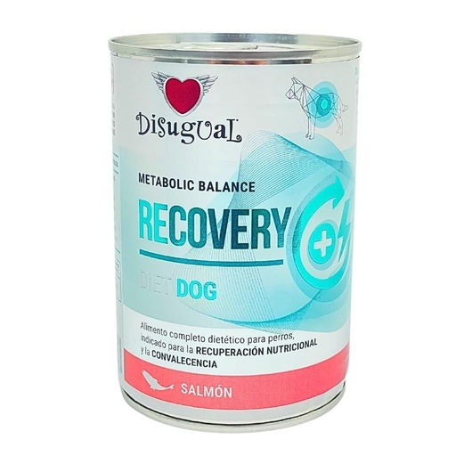 Disugual Recovery Diet Salmon Lata Por para Perros