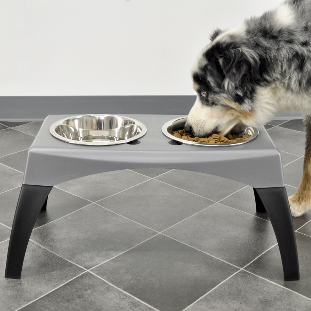 Coastal Pet Maslow Comedero Doble Elevado para Perros