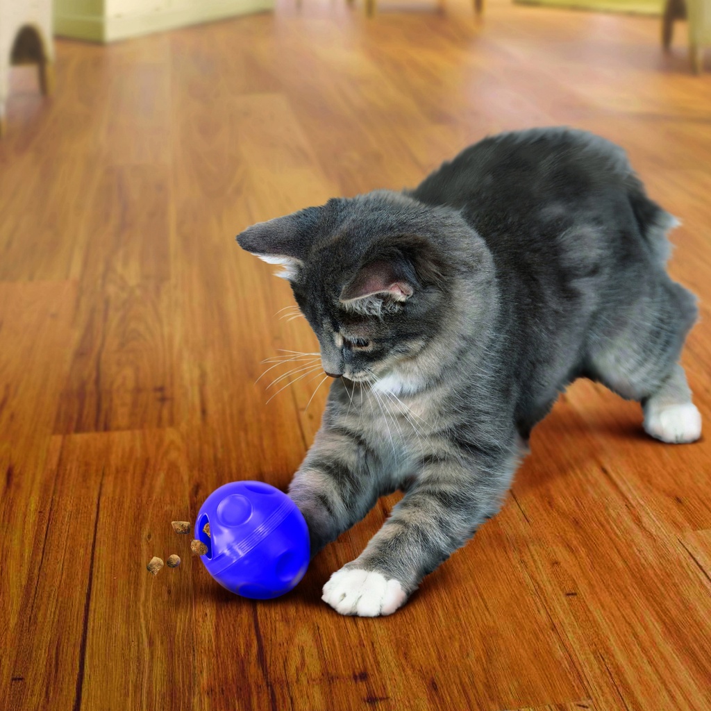 Kong Pelota Dispensadora Snacks para Gatos