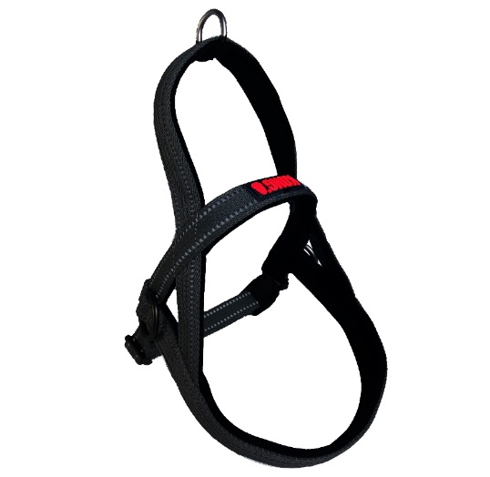Kong Arnes Norwegian Negro para Perros