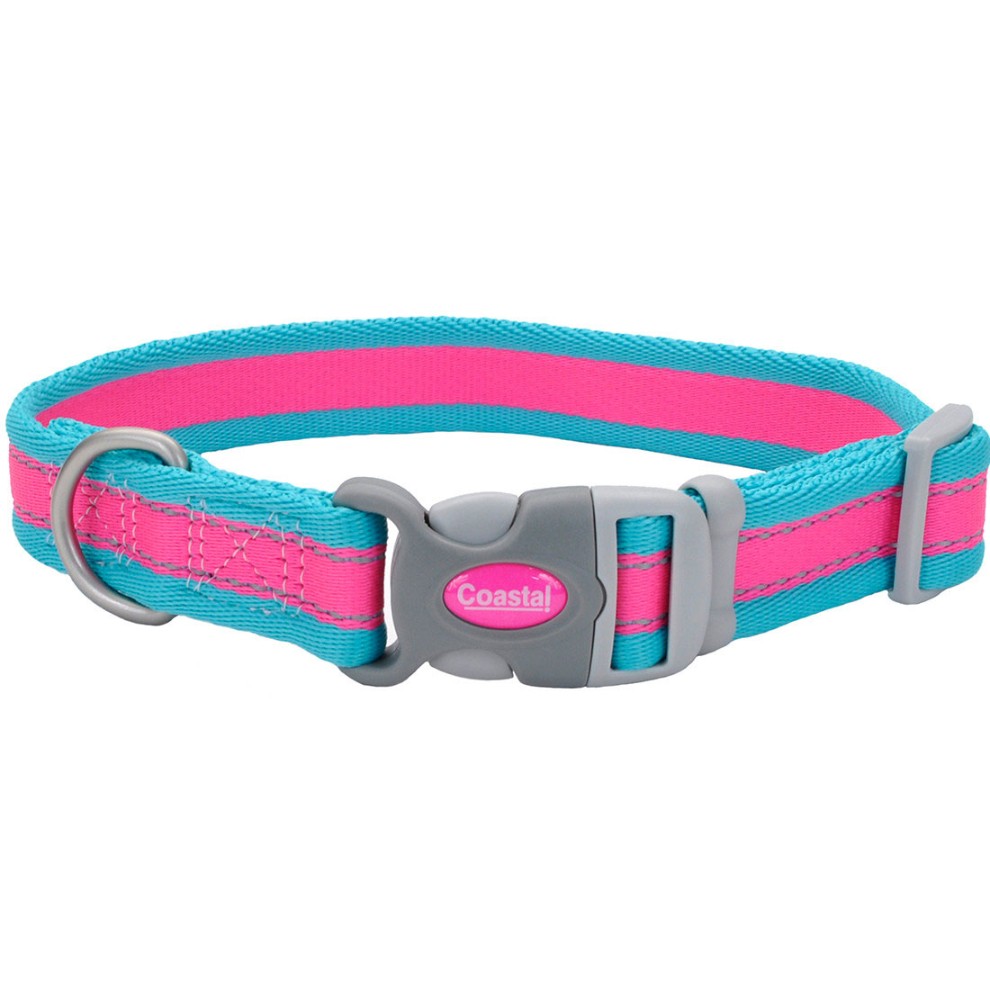 Coastal Pet Pro Fucsia Con Azul Collar 3 4" para Perros