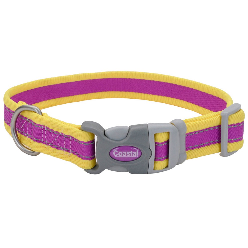 Coastal Pet Pro Morado Con Amarillo Collar 1" para Perros