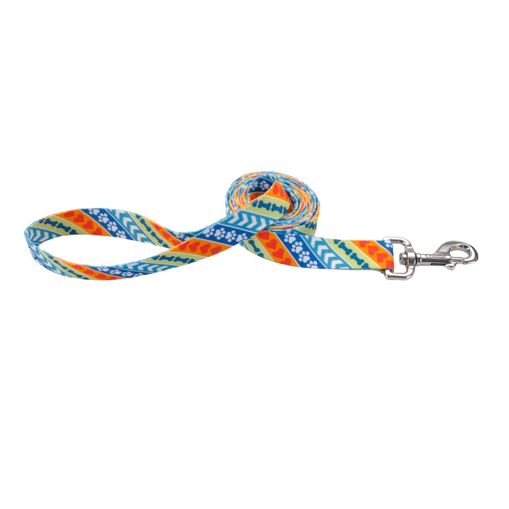 Coastal Pet Styles Amor Paz Amarillo Correa 1" para Perros