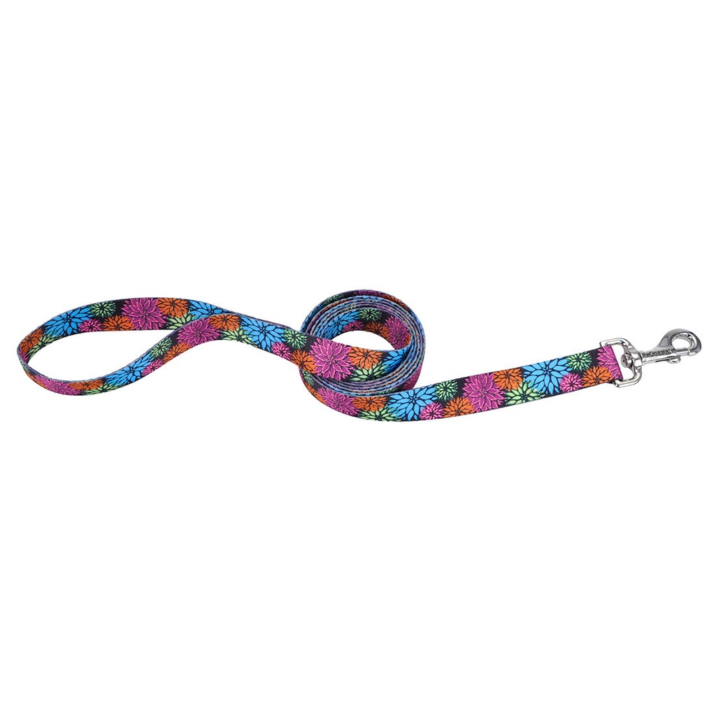 Coastal Pet Styles Flores Negro Correa 1" para Perros