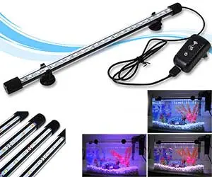 Lámpara LED Sumergible DG - 2W - 17,5 cm