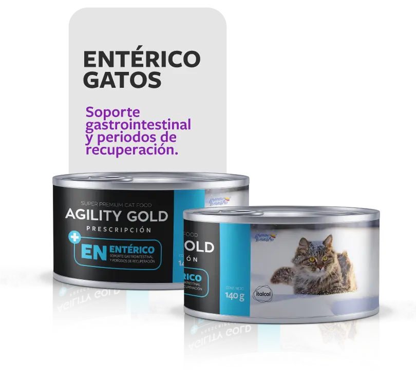 [154018] Agility Gold Agility Enterico Gatos