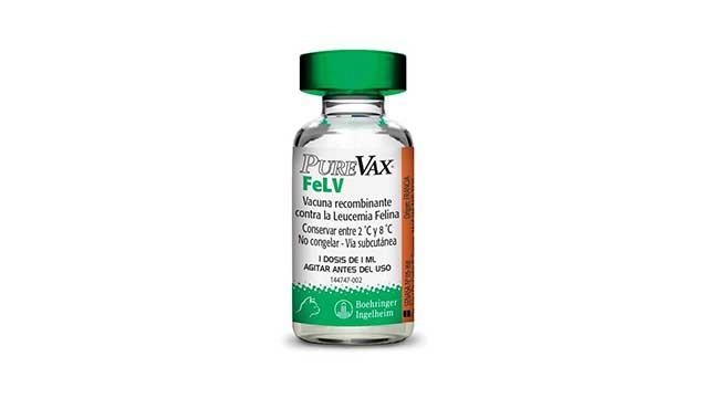 Purevax FeLV vacuna para gatos