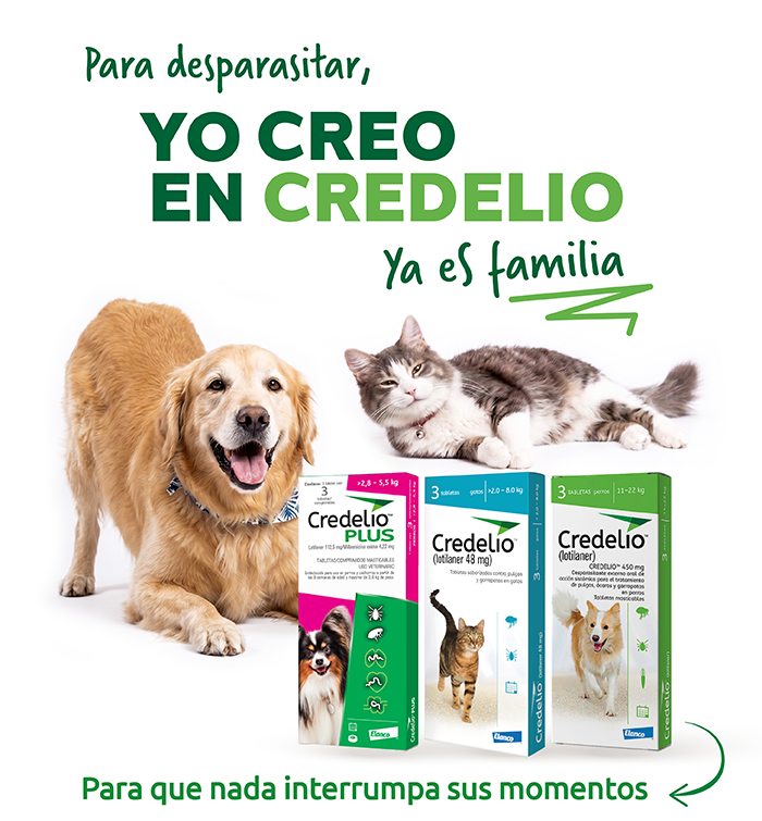 Credelio Plus Perros (5.5 - 11 kg)