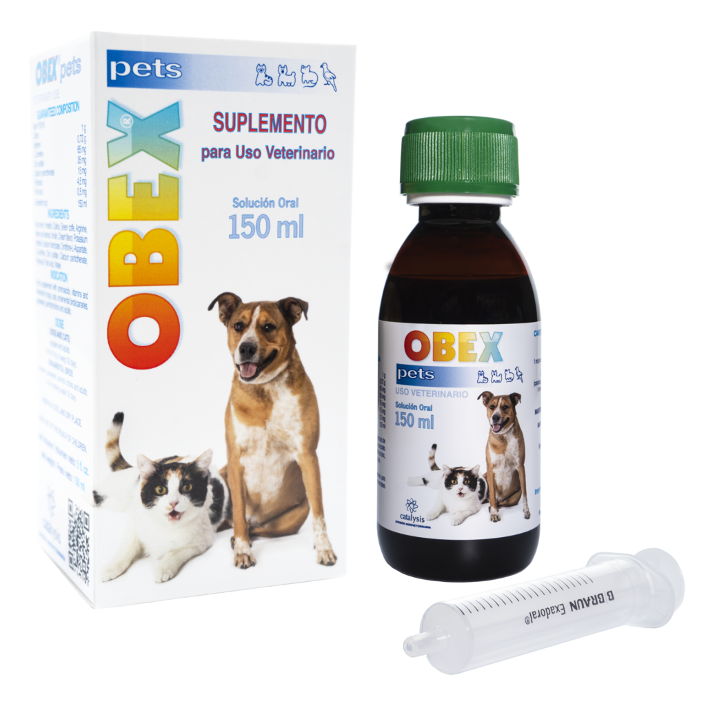 Obex