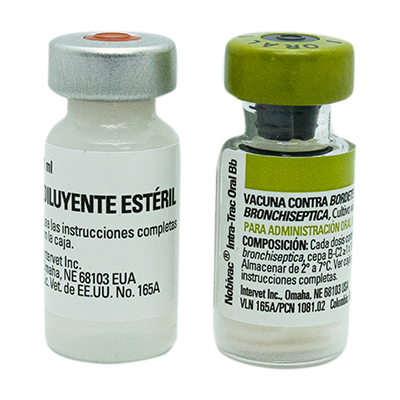 [10518] Nobivac Intra-Trac Bordetella Oral 1 Ml