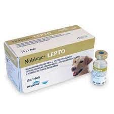 [10520] Nobivac Lepto 1 Ml