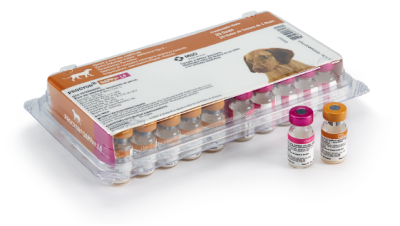 Procyon Dog Dappv + L4 1 Ml