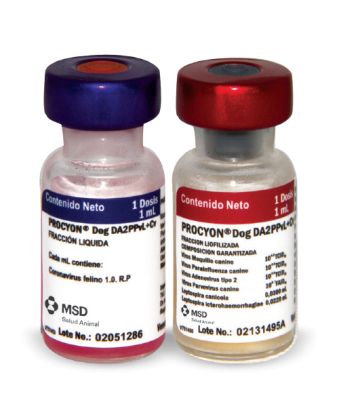 [10531] Procyon Dog Da2 Ppvl 1 Ml