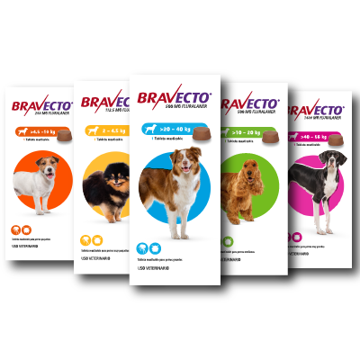 Bravecto tableta masticable 3M para perros