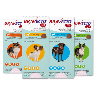 Bravecto tableta masticable 1M para perros