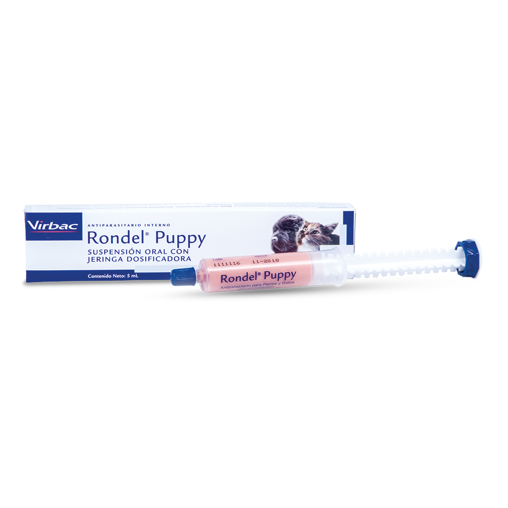 RONDEL (* 2 ml.)