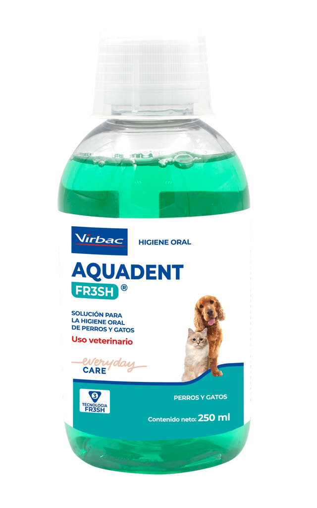 Aquadent