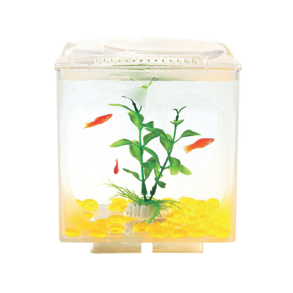 Resun Acuario Apple Window 15X15X18,2CM
