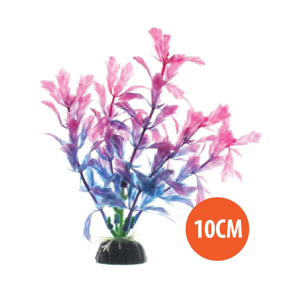 Plantas Jarapets Planta Plastica 10CM Lila/Rosado