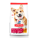 Hills Science Diet Adulto Small Breed para Perros