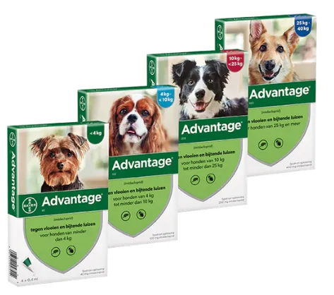 Advantage Perros (4 - 10 Kg)